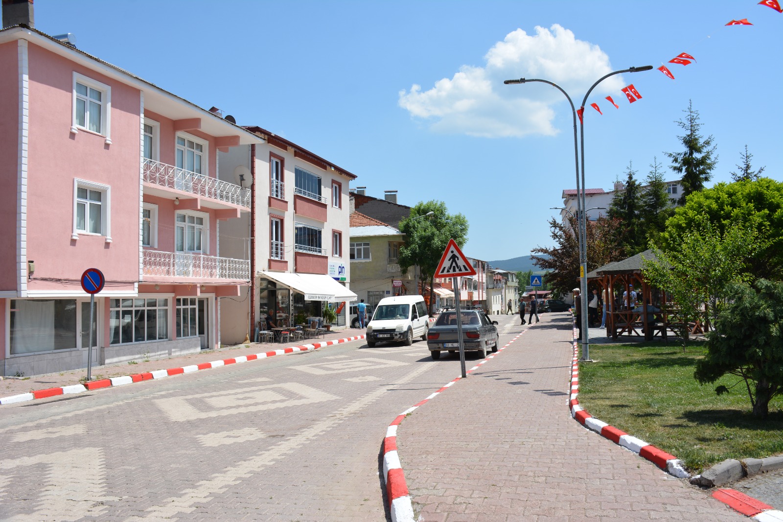 bodur (6)