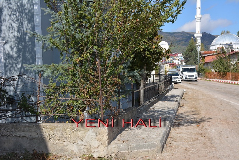 kal (9)
