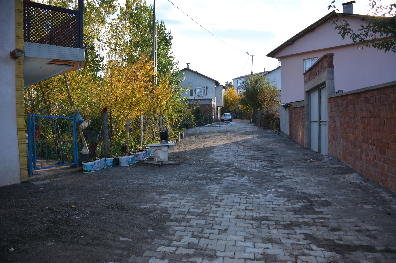 meralar (1)