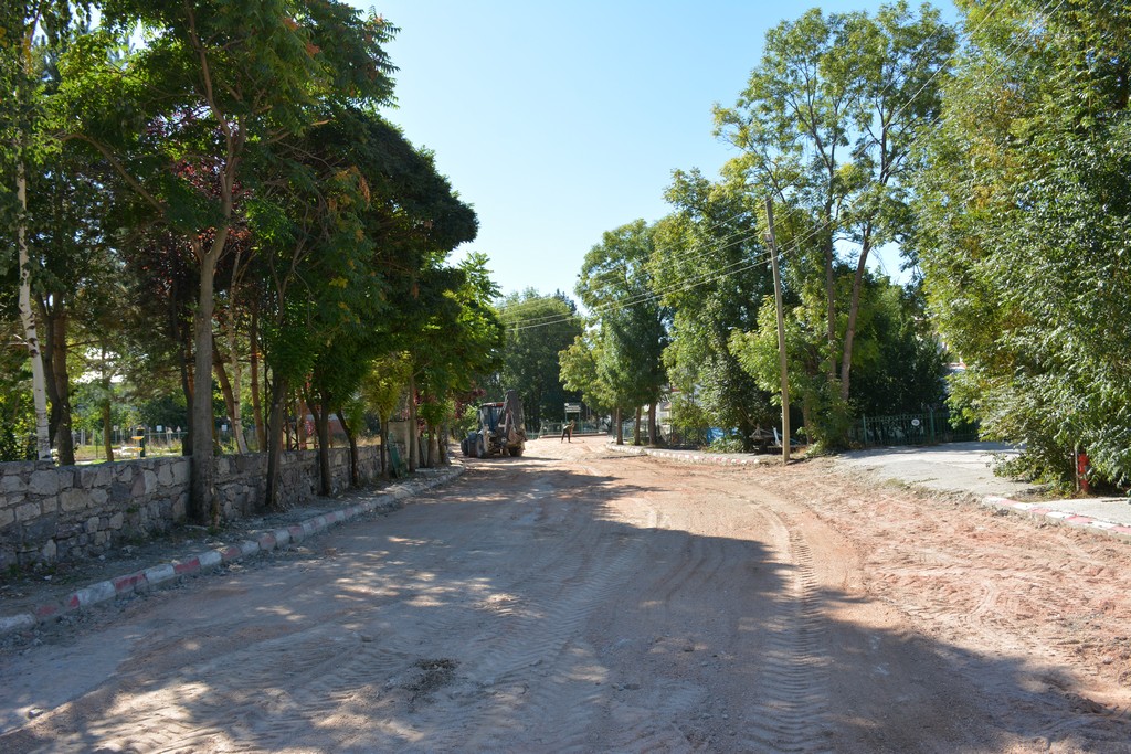 merparke (8)