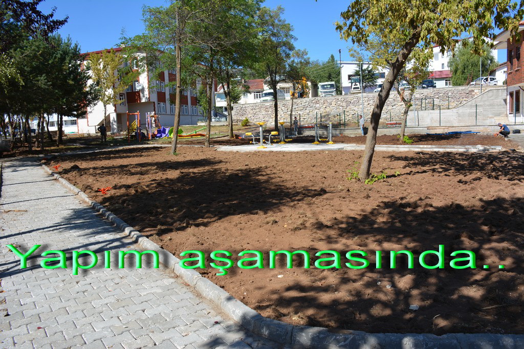 park (5)