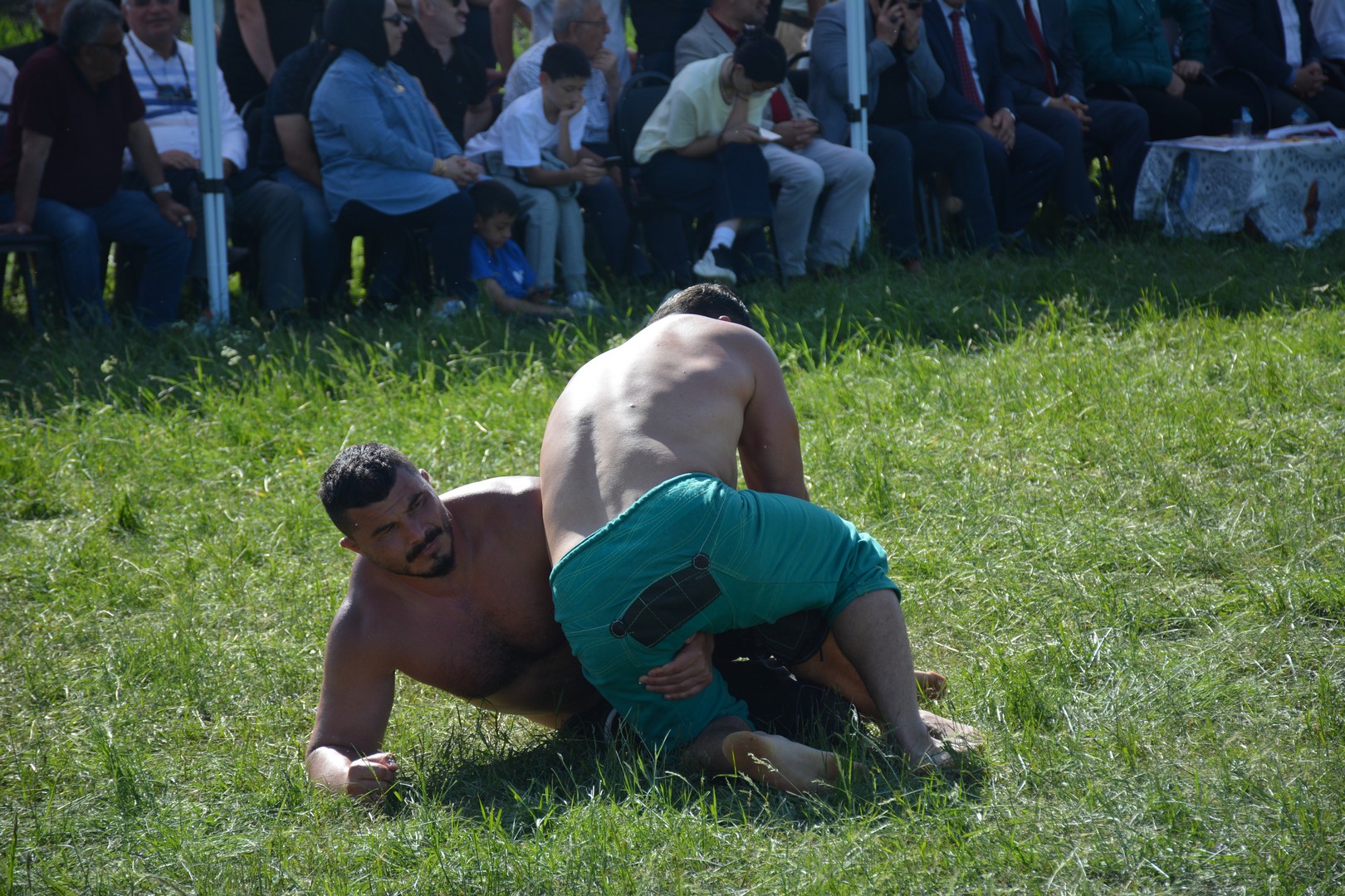 staa gures (16)
