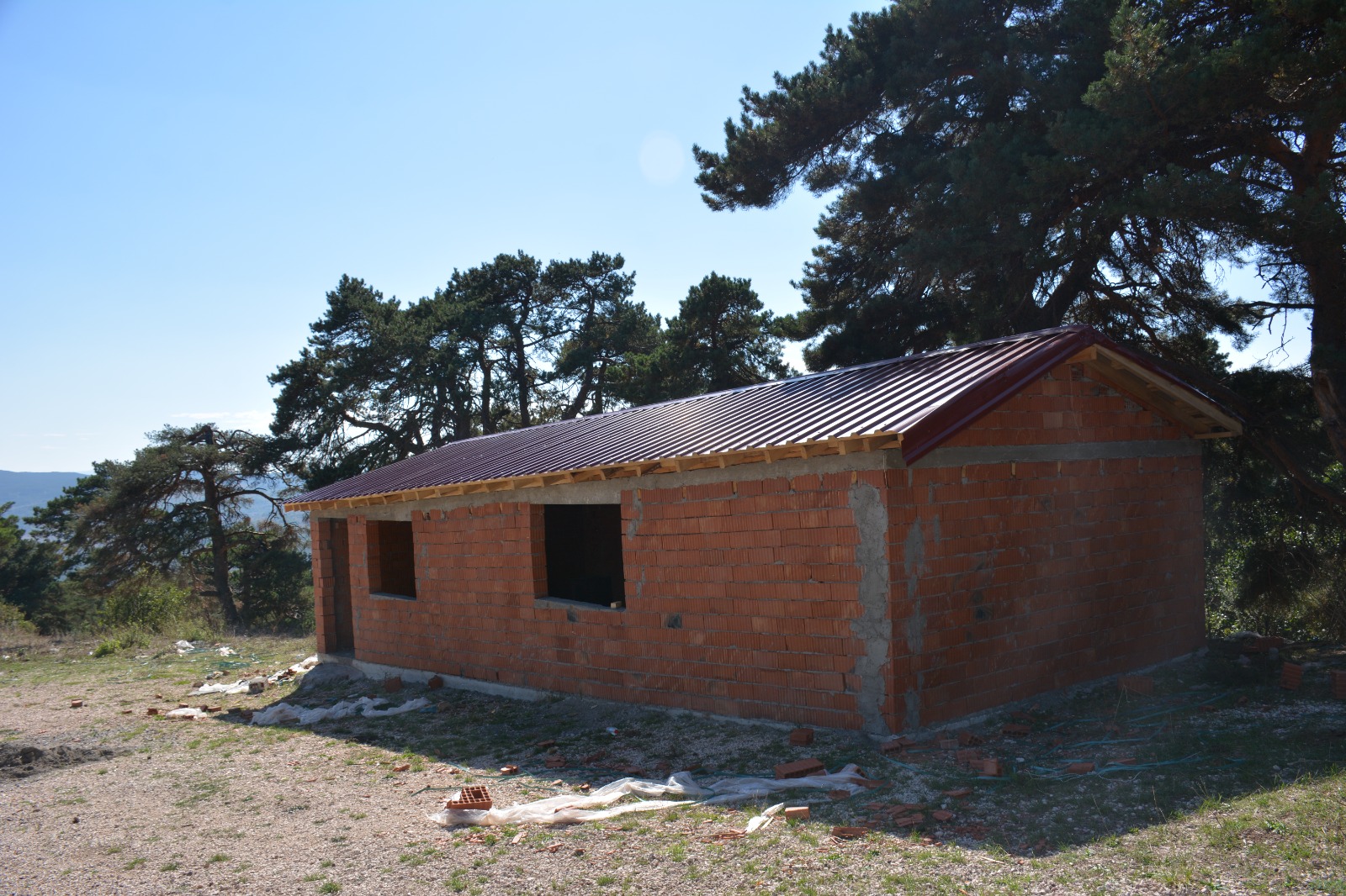 taziye (1)