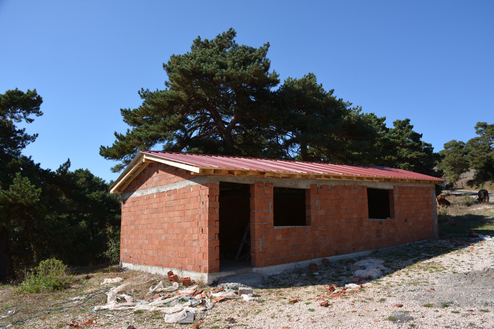 taziye (6)